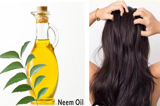 benefits of neem oil for hair