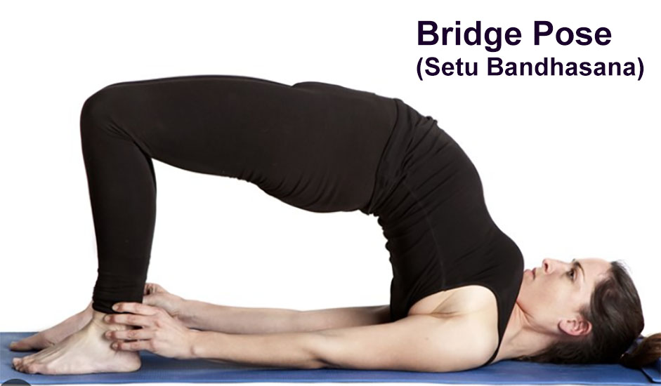 bridge pose yoga benefits (setu-bandhasana)