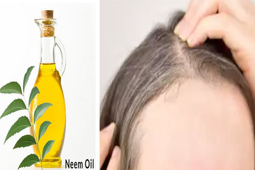 neem oil prevent premature graying