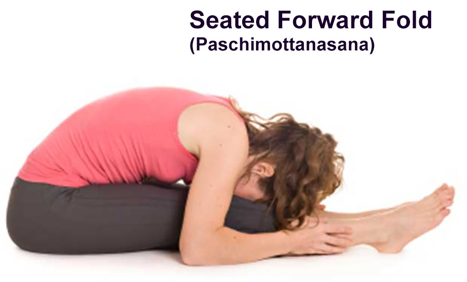 seated forward fold yoga pose (paschimottanasana)